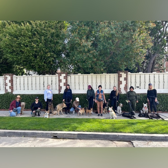 Meet your Posher, Juana - Picture 16 of 16